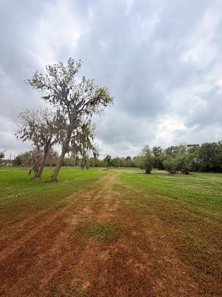 10 acres in Brazoria County - photo 7