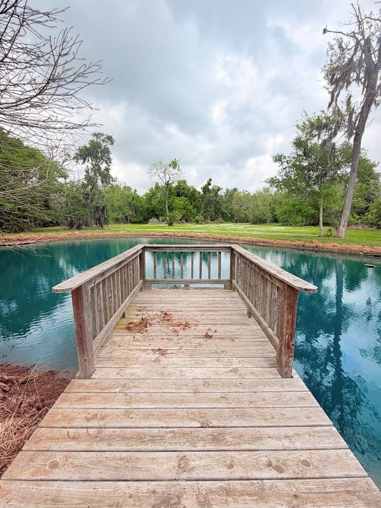 10 acres in Brazoria County gallery image 3