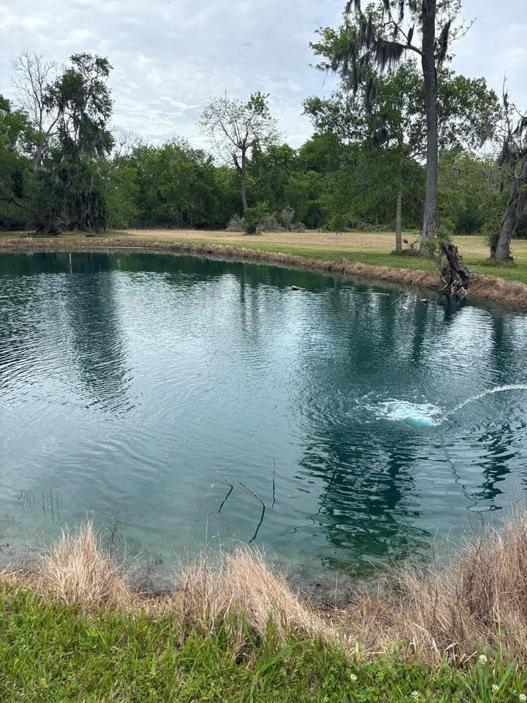 10 acres in Brazoria County - photo 23