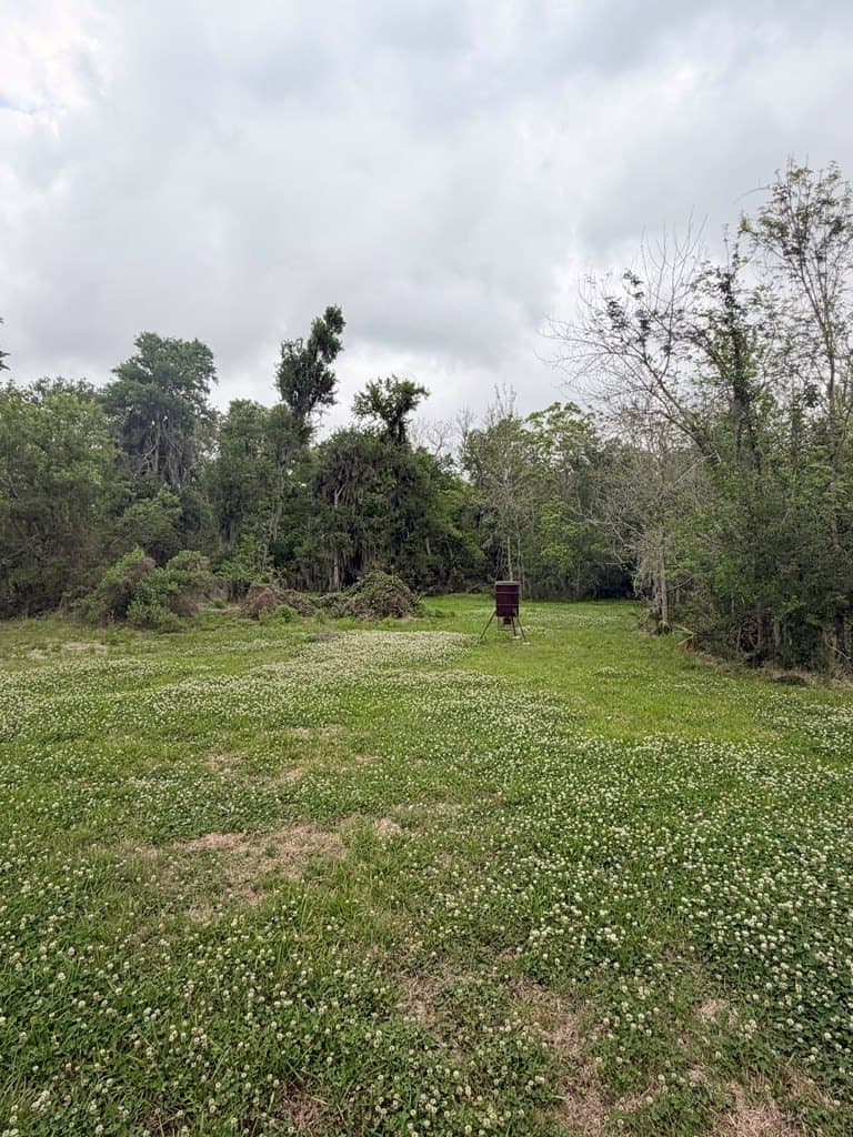 10 acres in Brazoria County - photo 8
