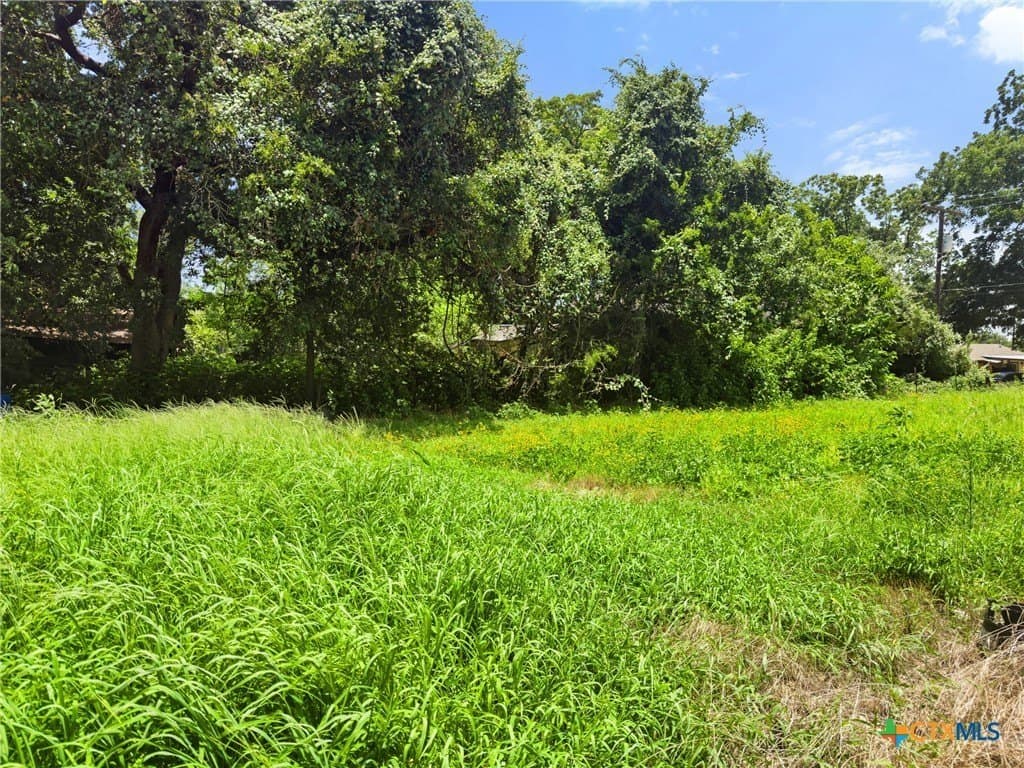 0.11 acres in Llano County gallery image 2