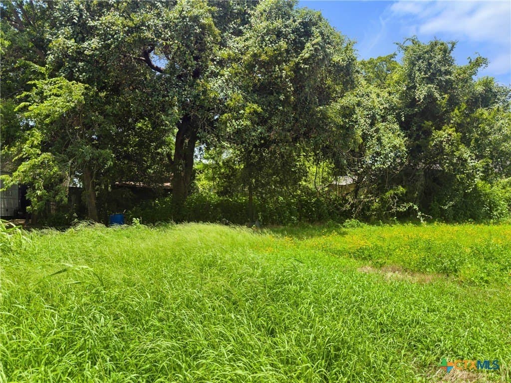 0.11 acres in Llano County gallery image 3