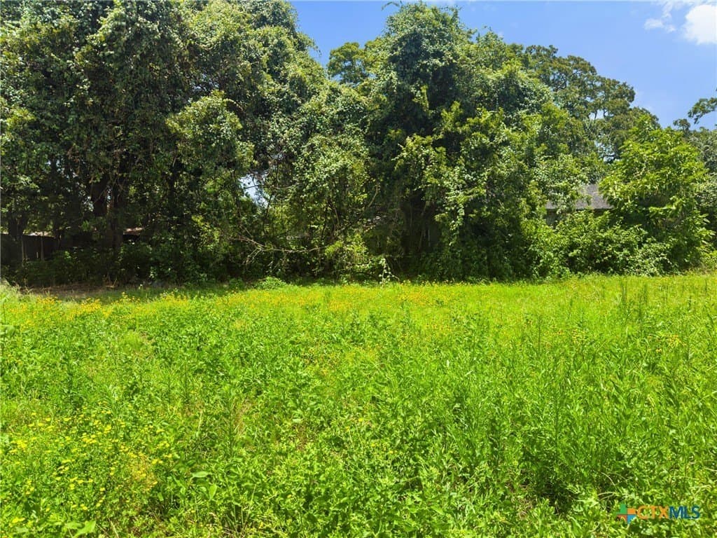 0.11 acres in Llano County gallery image 4