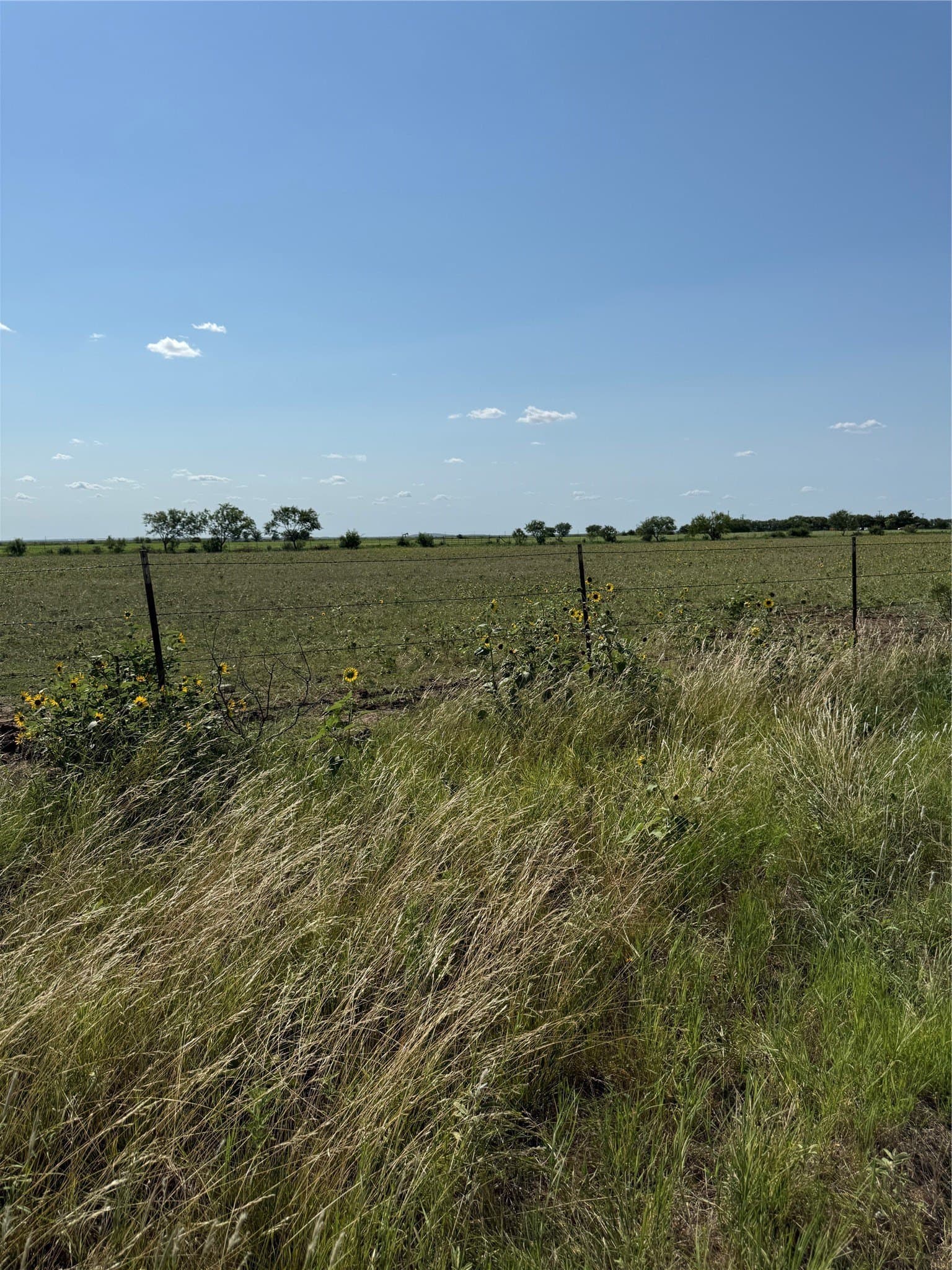 18.93 acres in Callahan County - photo 14