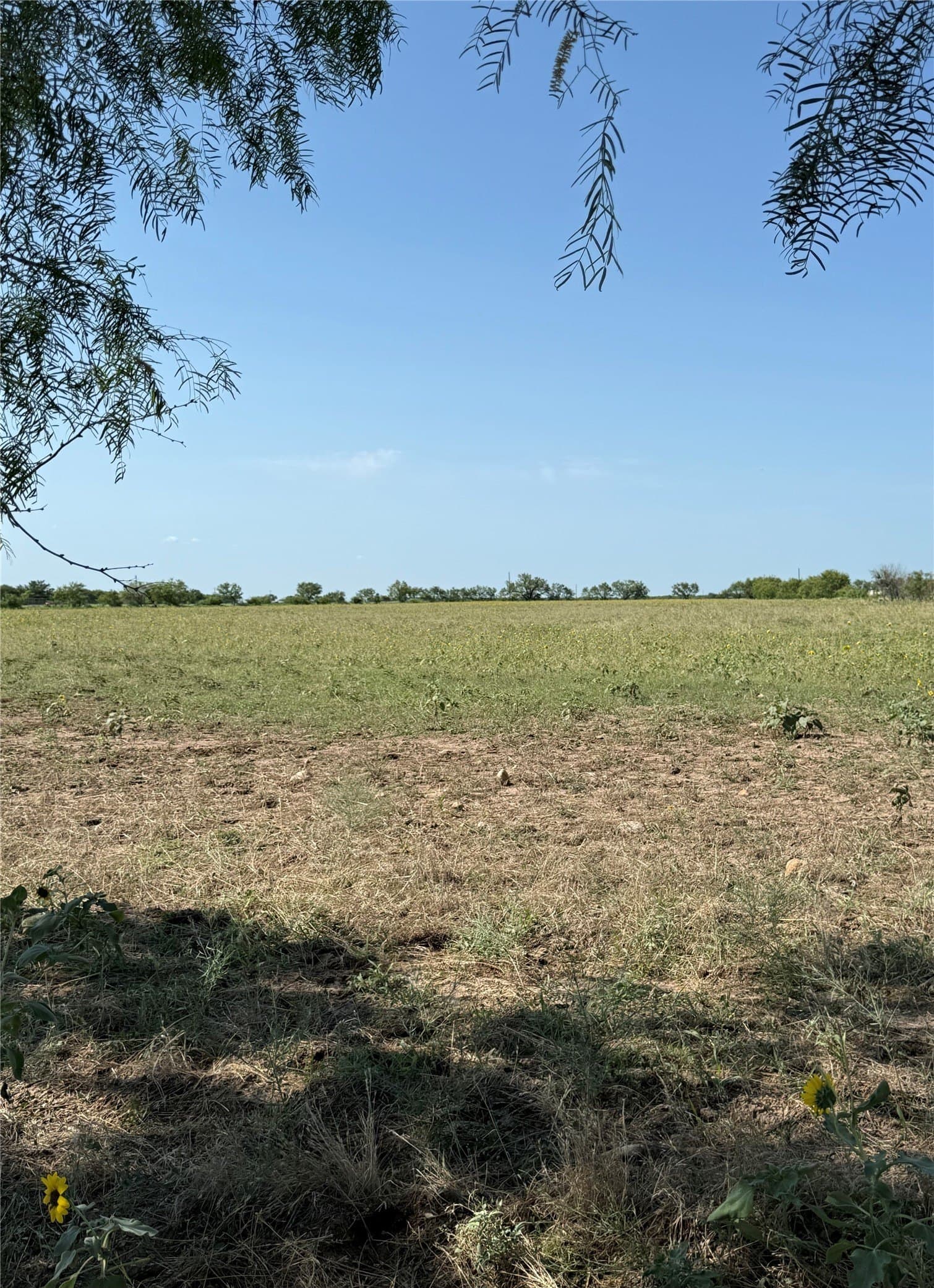 18.93 acres in Callahan County - photo 15