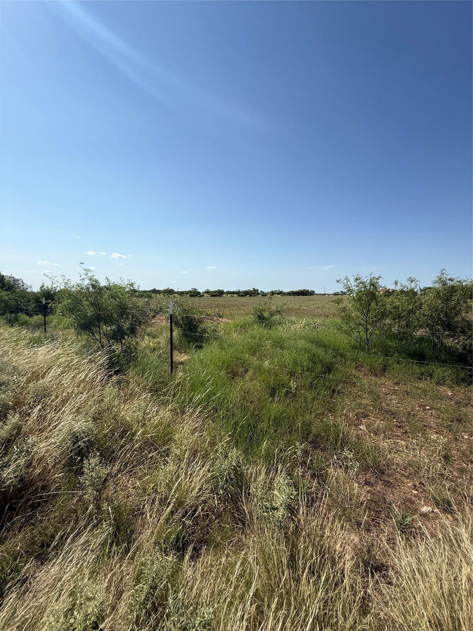 18.93 acres in Callahan County - photo 13