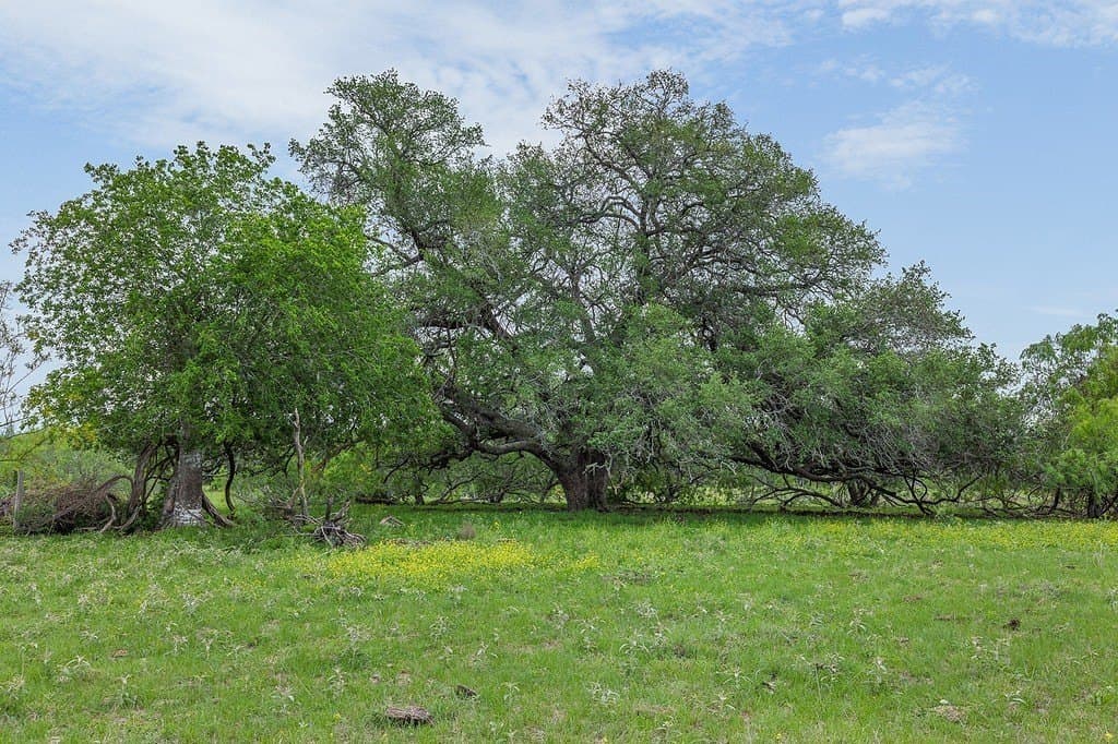 43.99 acres in Fayette County gallery image 3