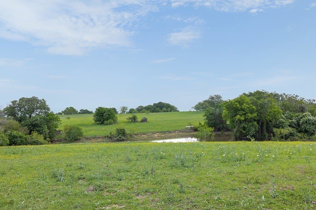 43.99 acres in Fayette County gallery image 2