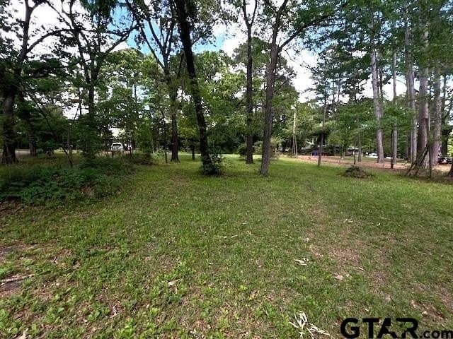 0.5 acres in Smith County - photo 15
