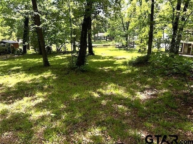 0.5 acres in Smith County - photo 7