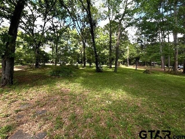 0.5 acres in Smith County - photo 14