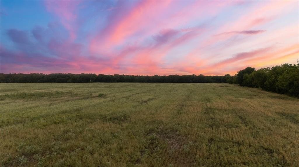274 acres in Falls County gallery image 4