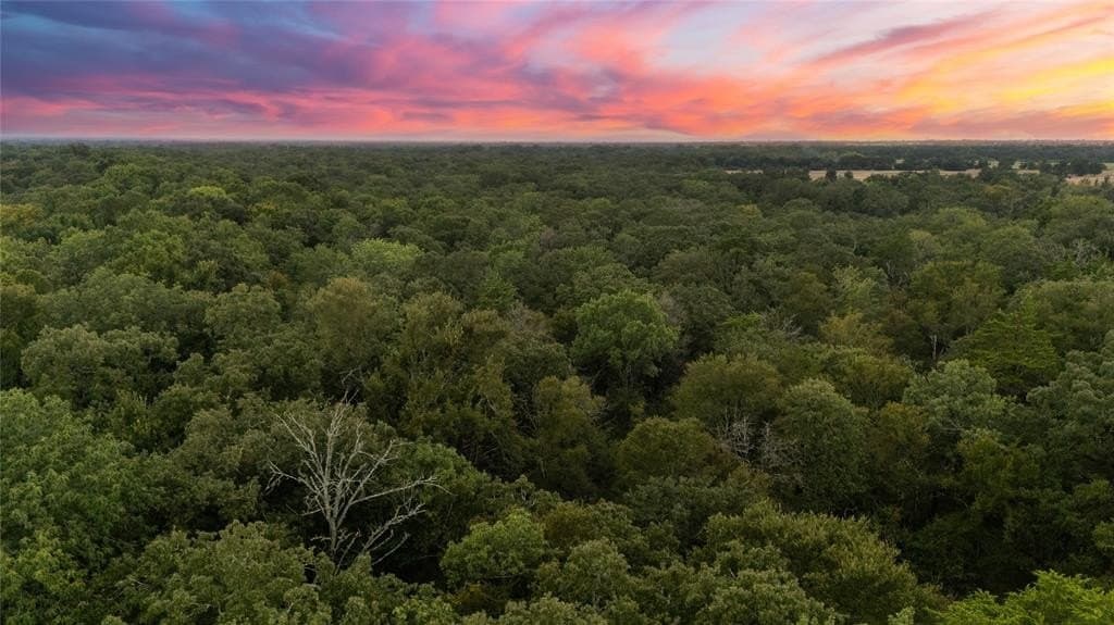 274 acres in Falls County featured view