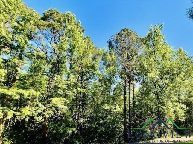 1.5 acres in Texas County