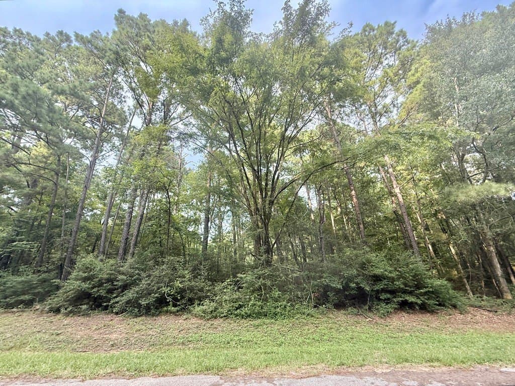 0.27 acres in Texas County gallery image 2