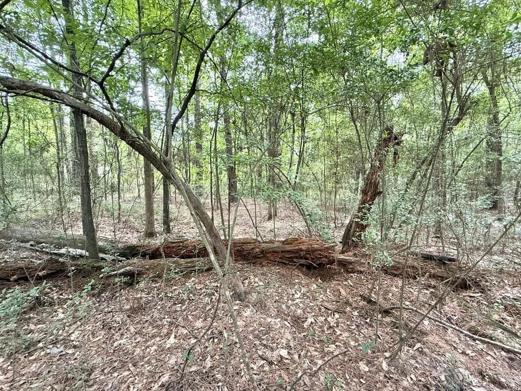 0.27 acres in Texas County gallery image 4