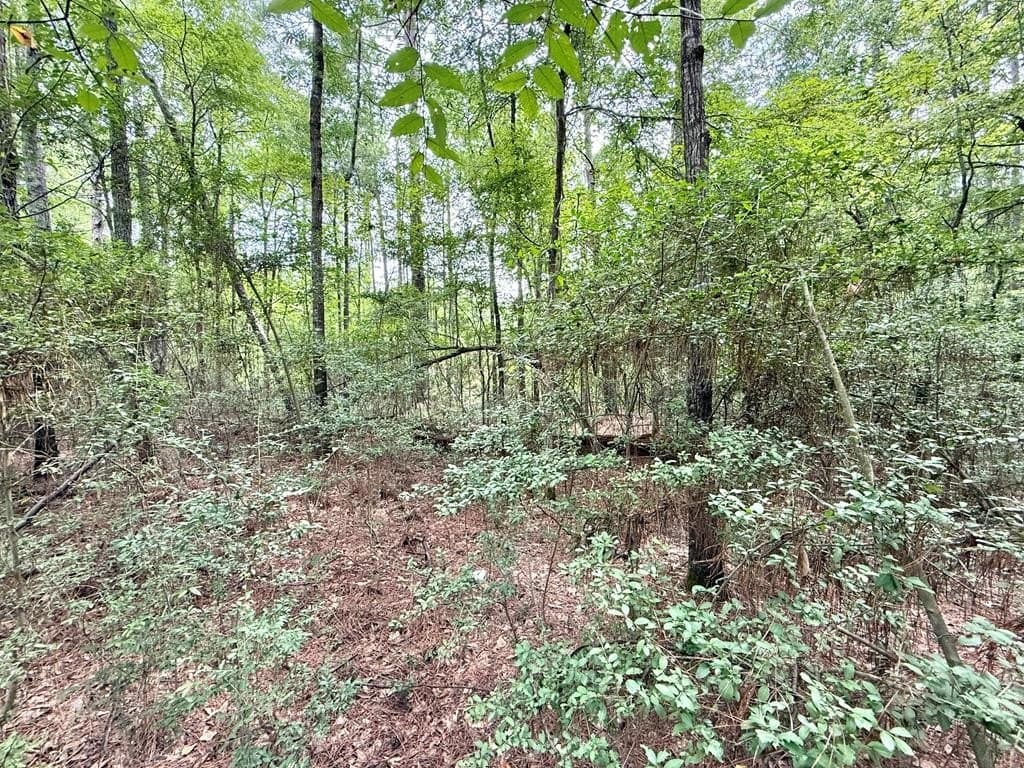 0.27 acres in Texas County gallery image 3