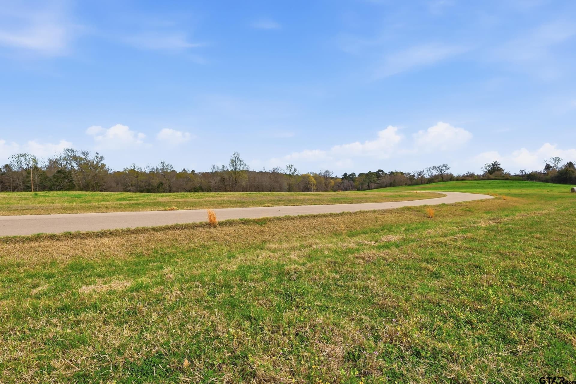 55.44 acres in Camp County - photo 16