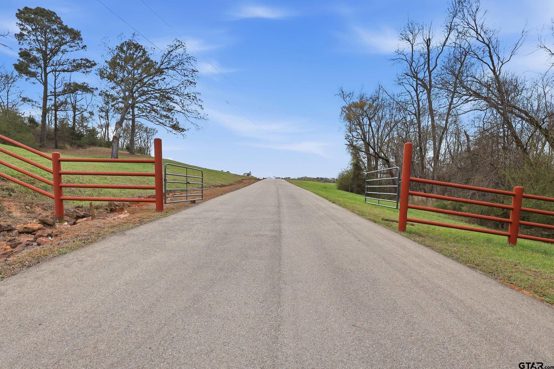 55.44 acres in Camp County gallery image 4
