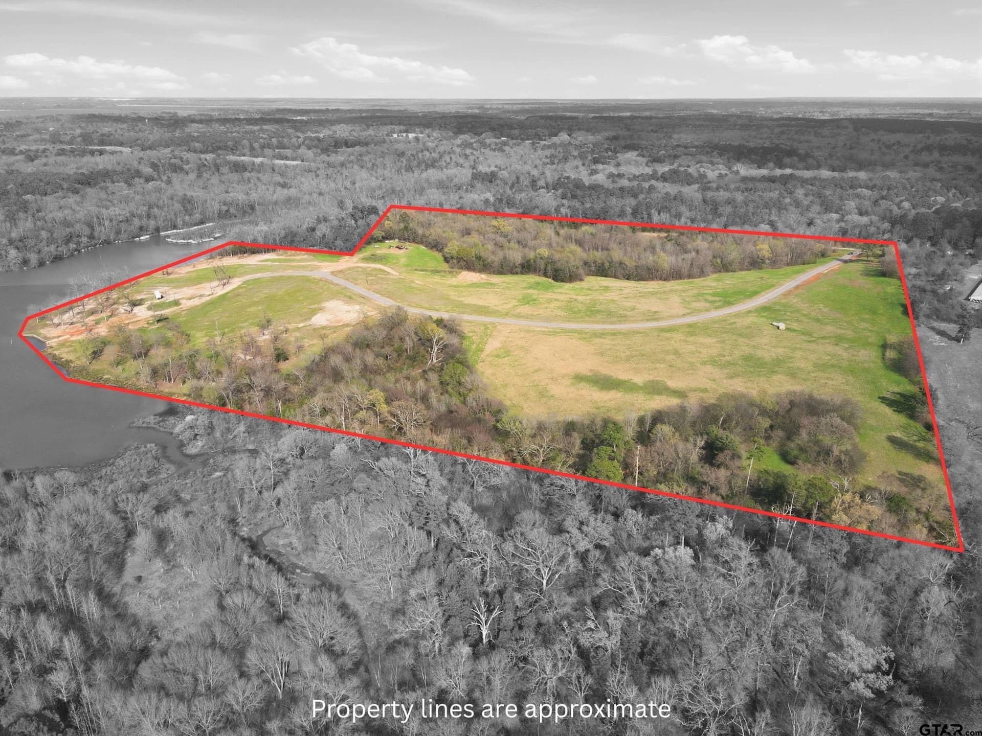 55.44 acres in Camp County gallery image 2