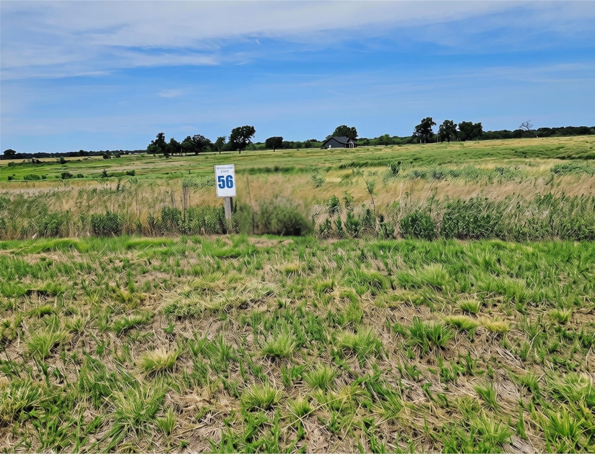 1.44 acres in Navarro County - photo 15