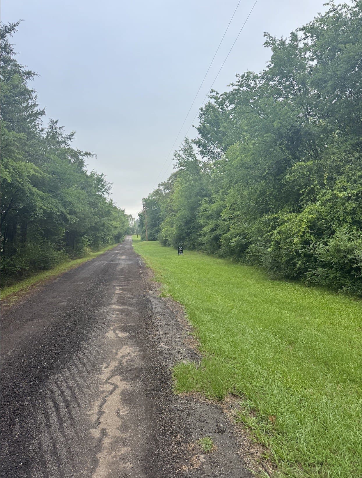 3 acres in Titus County