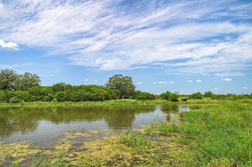 127.37 acres in Fayette County - photo 2
