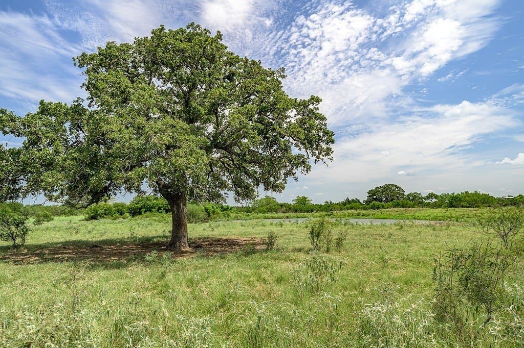 127.37 acres in Fayette County - photo 5