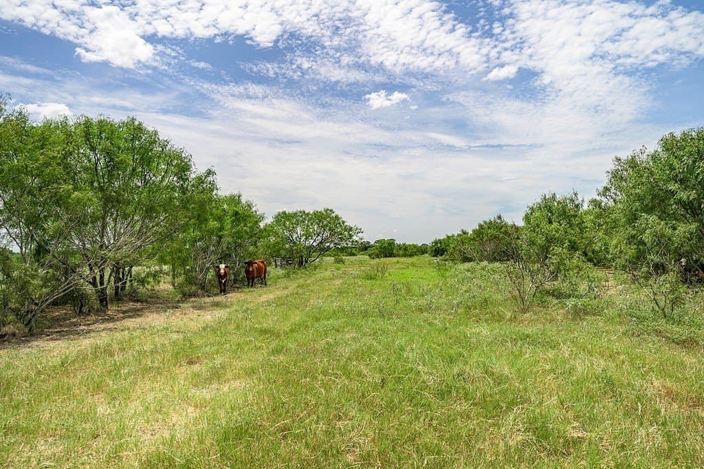 127.37 acres in Fayette County - photo 3