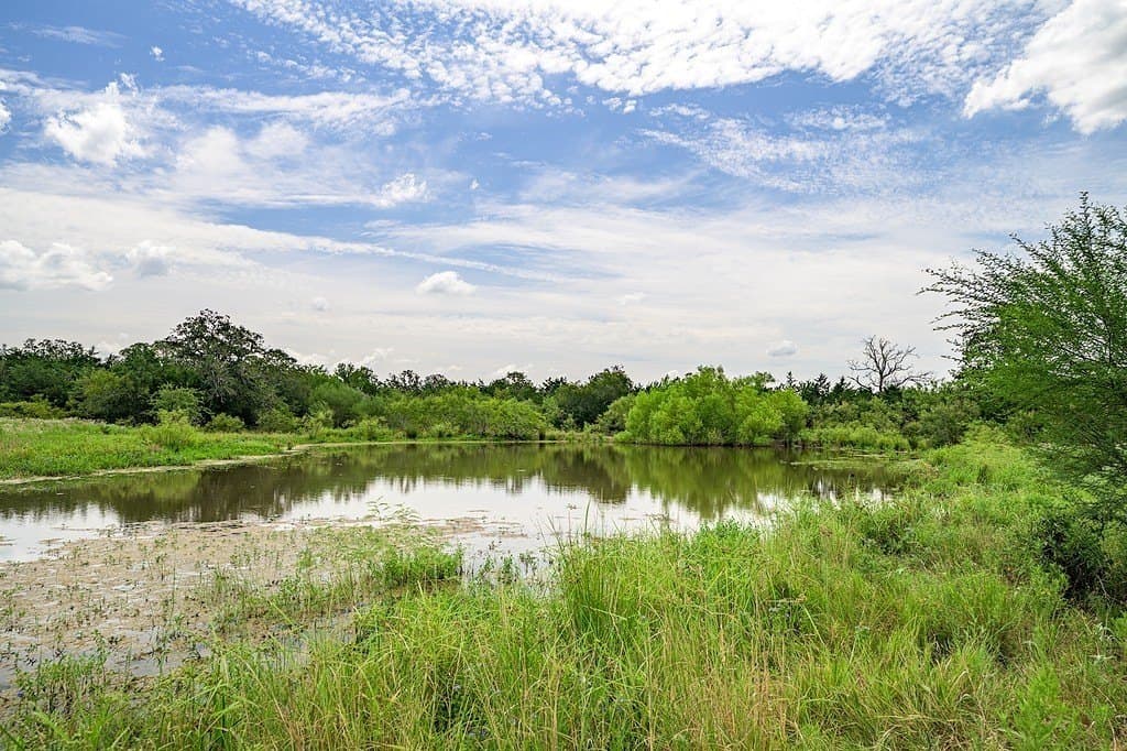 127.37 acres in Fayette County - photo 7