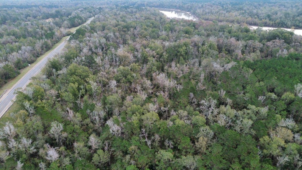 3.1 acres in Texas County - photo 11