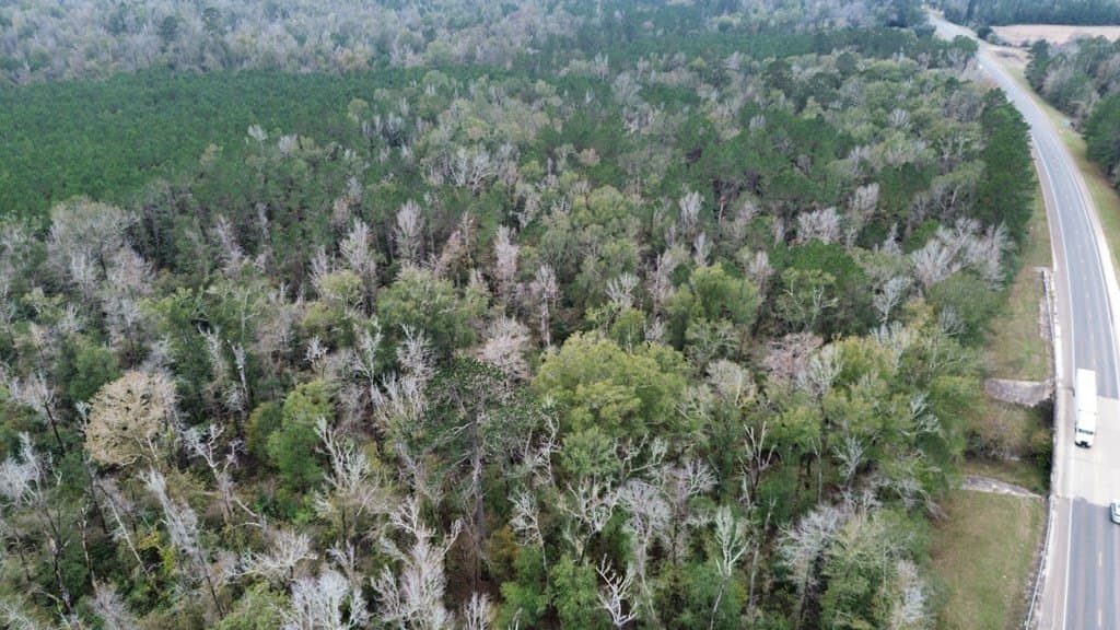 3.1 acres in Texas County - photo 7