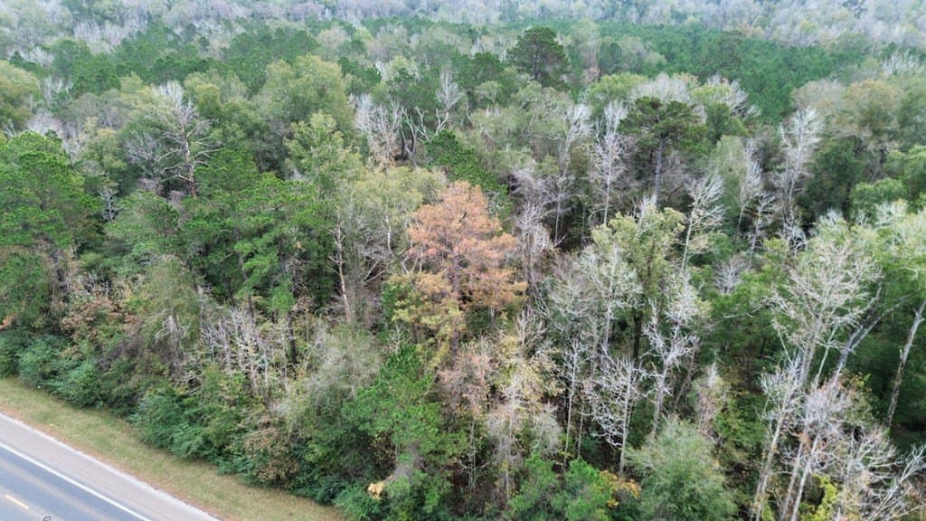 3.1 acres in Texas County gallery image 2