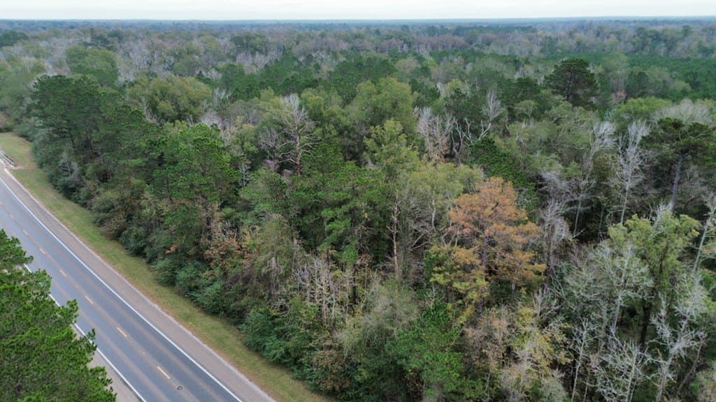 3.1 acres in Texas County gallery image 3