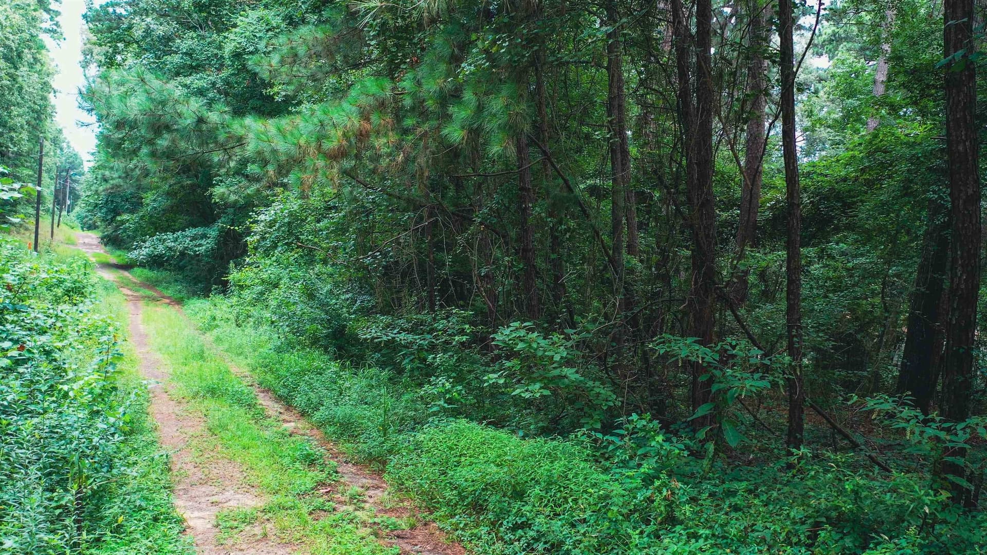 0.41 acres in Texas County gallery image 4