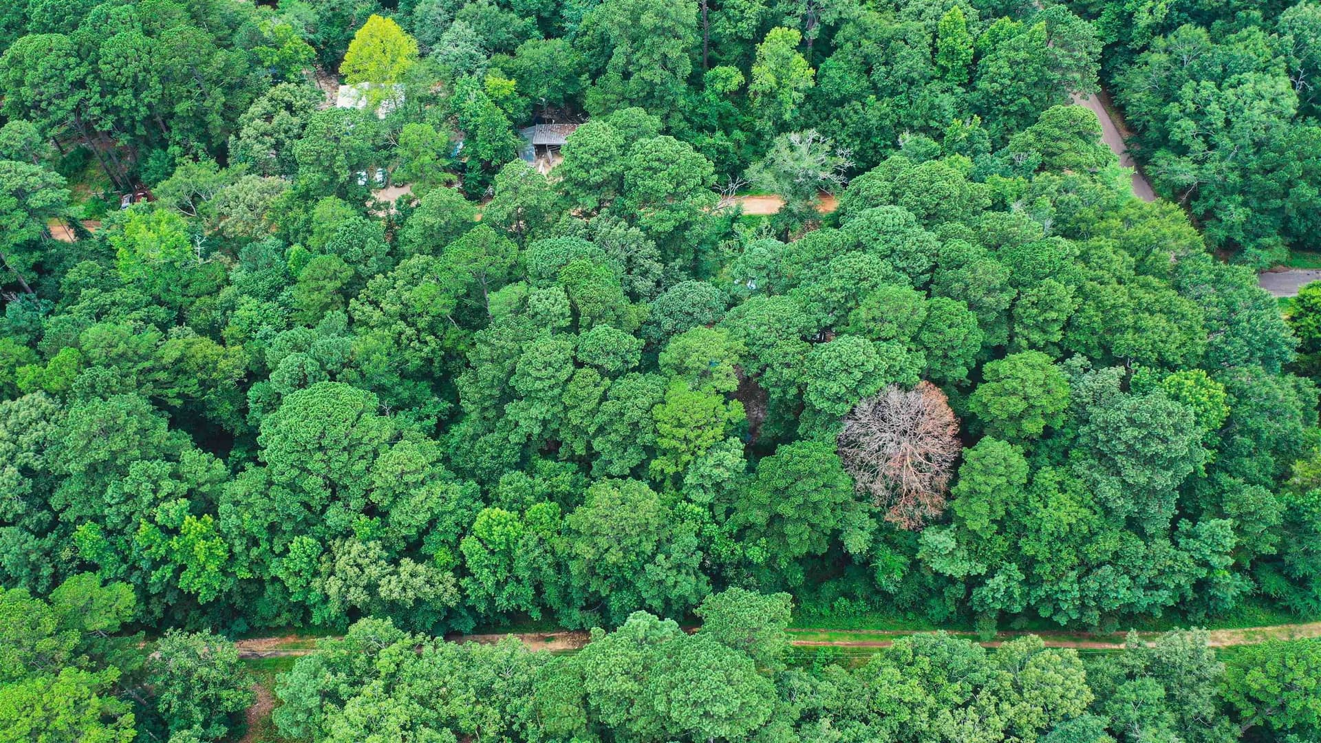0.41 acres in Texas County gallery image 3