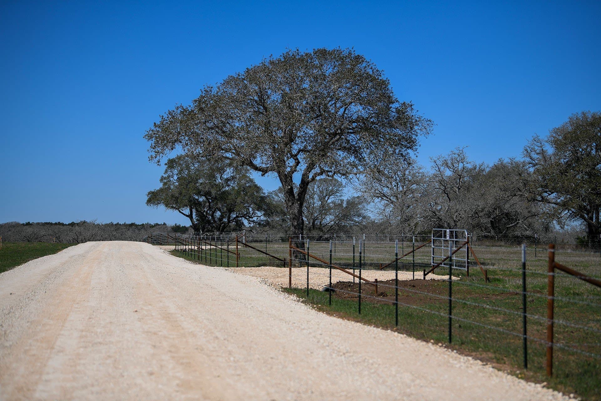 2 acres in Gonzales County - photo 7