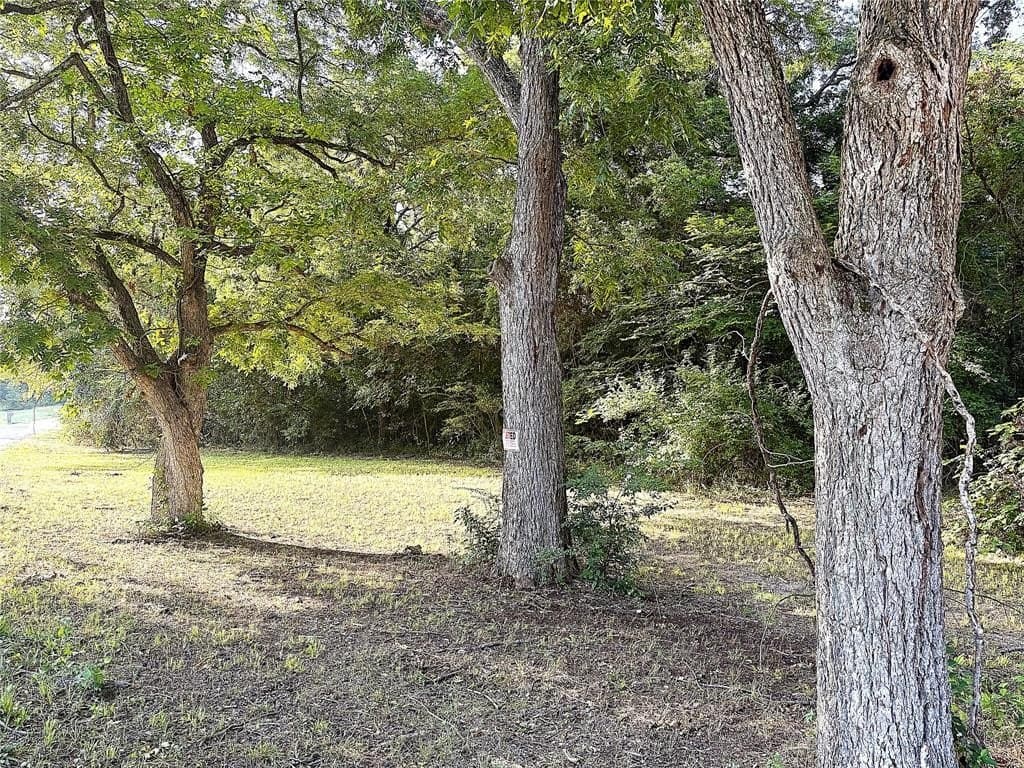 2 acres in Grayson County gallery image 2