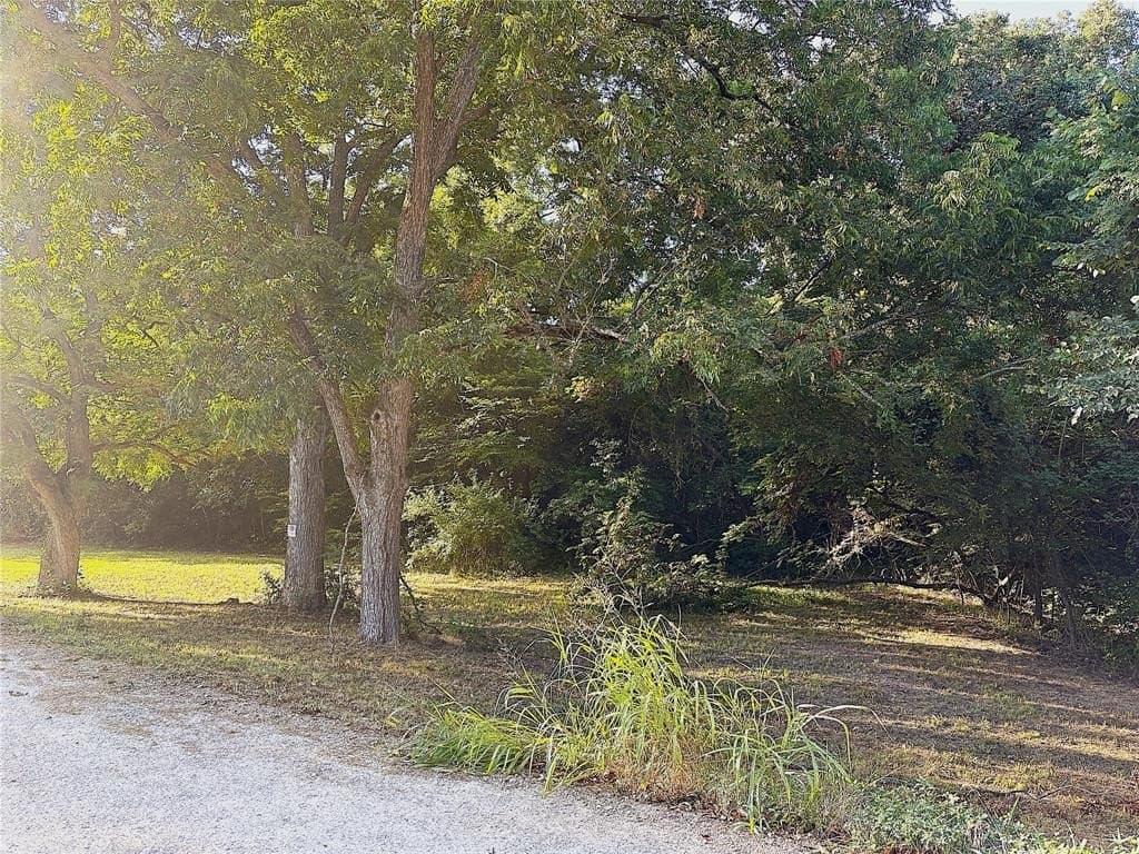 2 acres in Grayson County gallery image 4