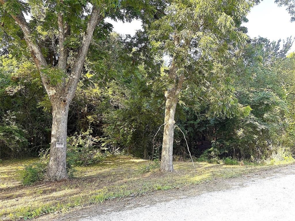 2 acres in Grayson County gallery image 3