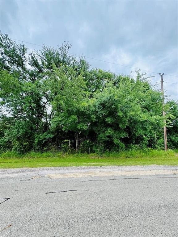 0.52 acres in Hill County gallery image 2