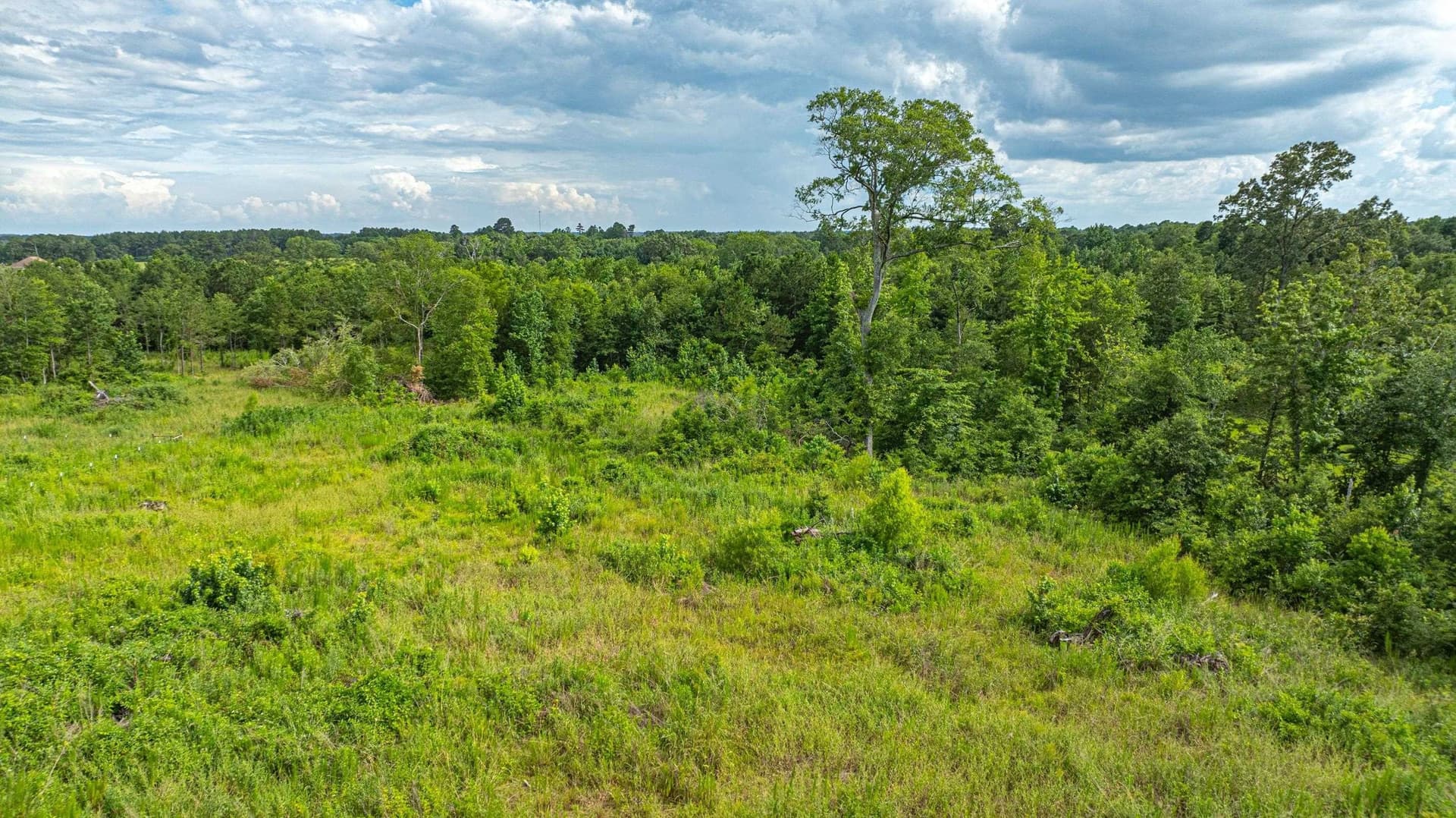 20.3 acres in Texas County gallery image 4