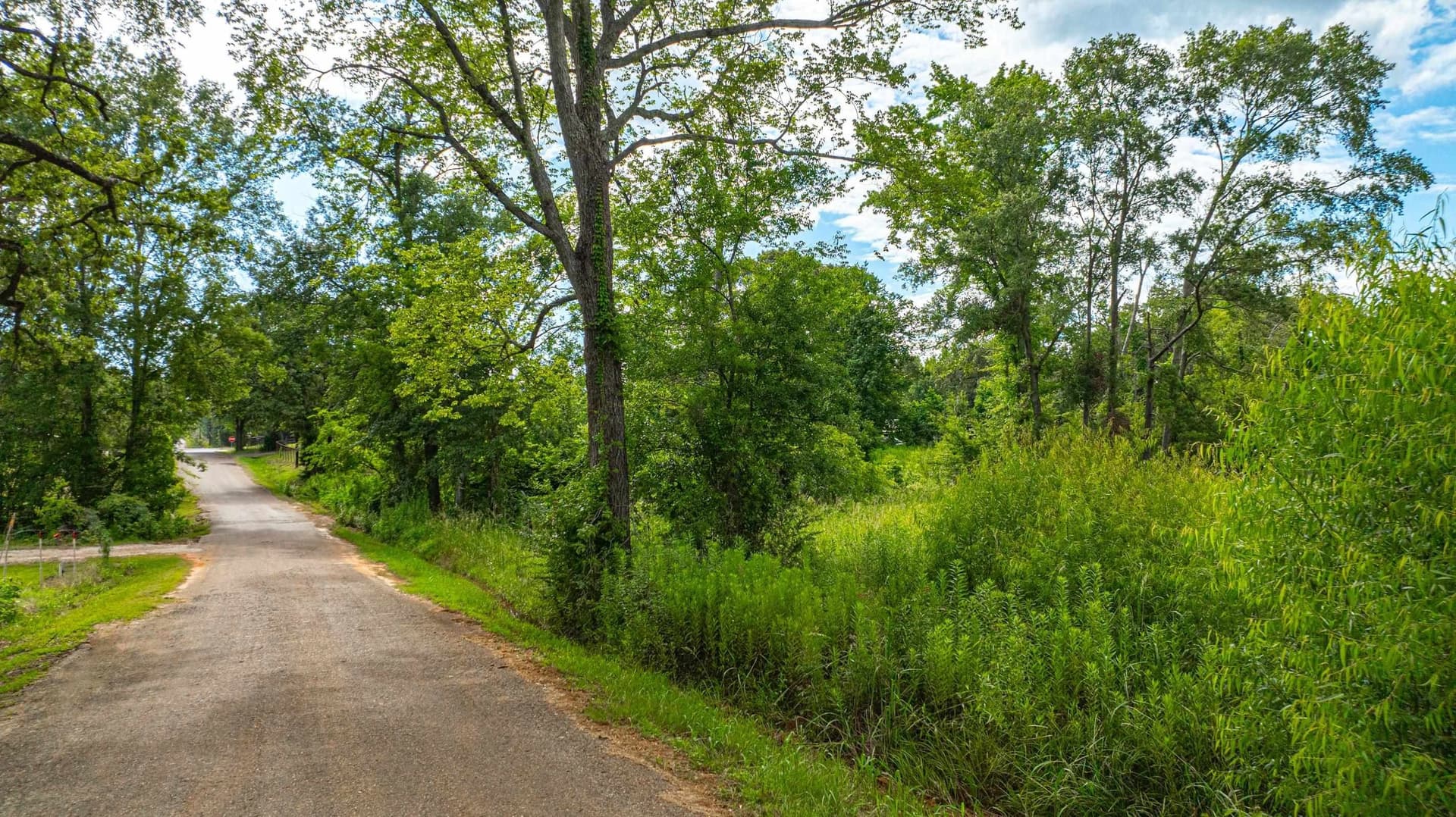 20.3 acres in Texas County gallery image 2