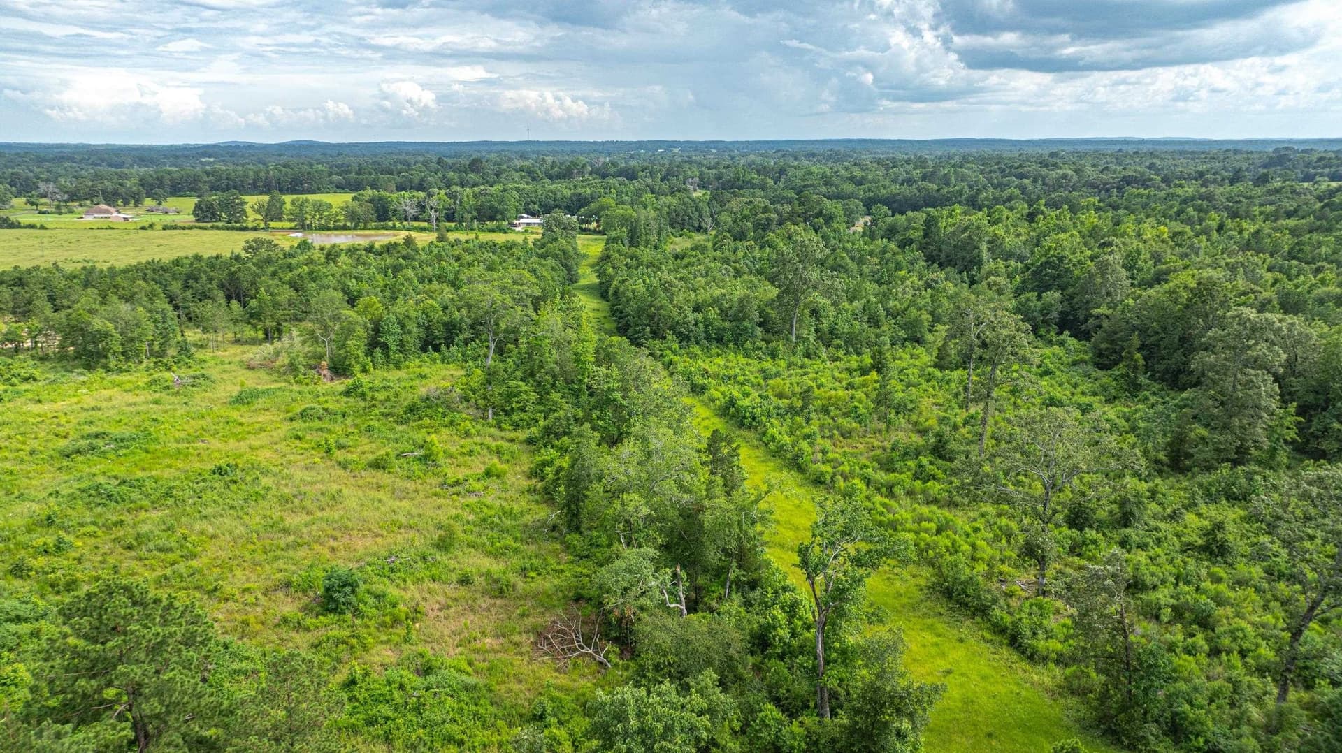 20.3 acres in Texas County featured view