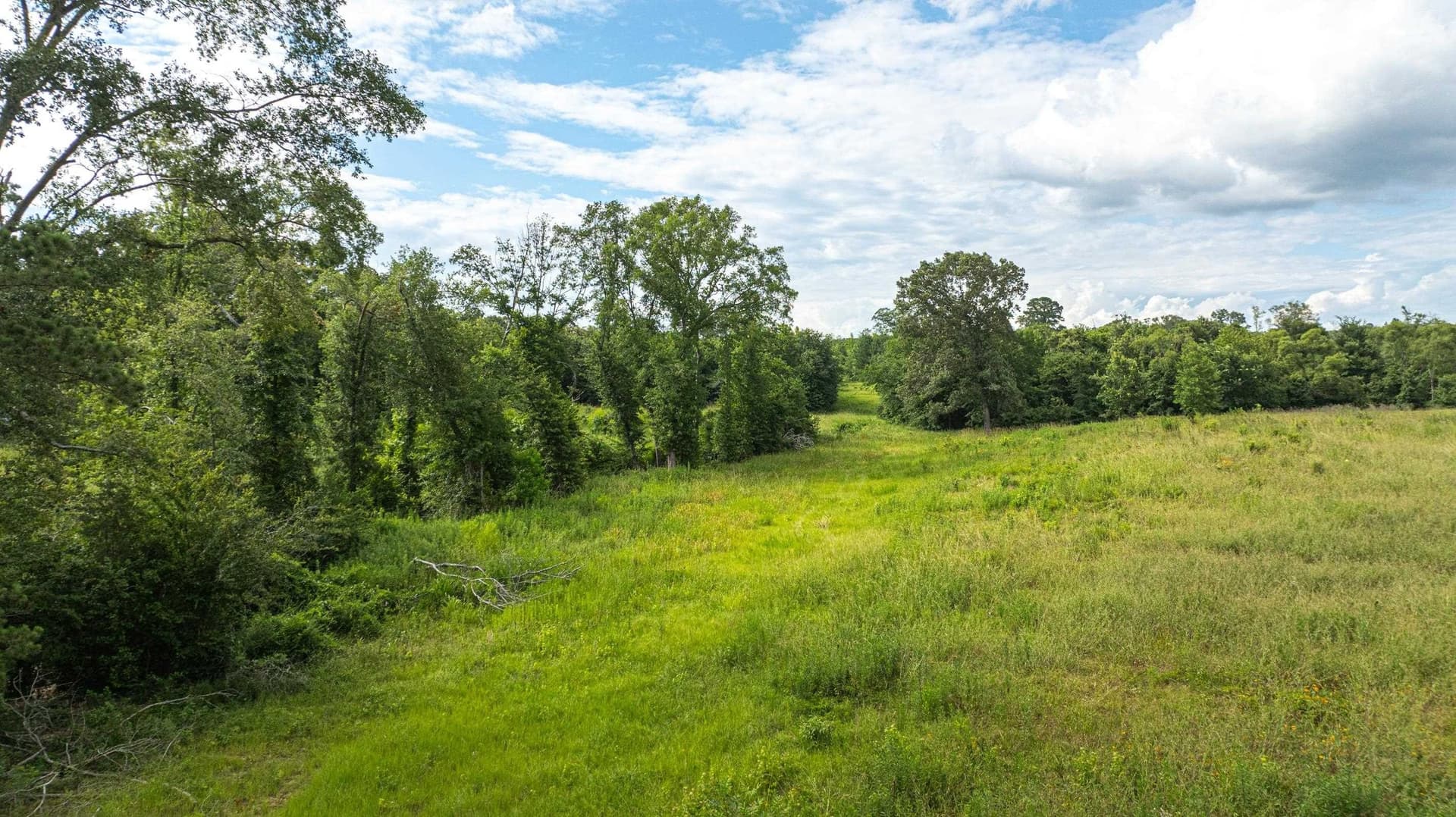 20.3 acres in Texas County gallery image 3