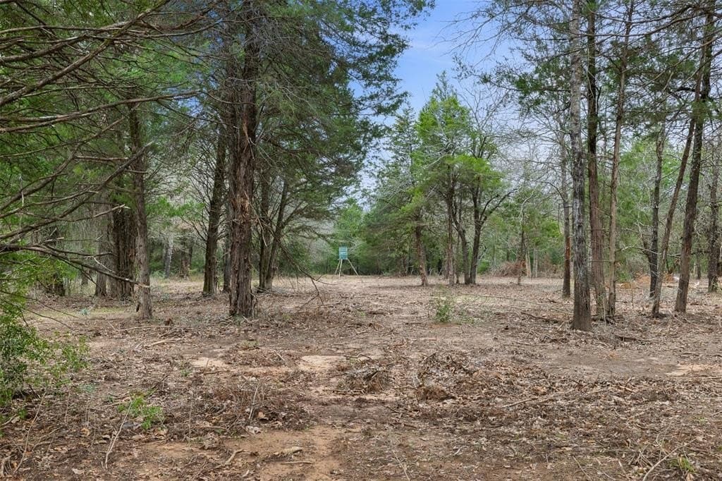 50 acres in Freestone County gallery image 4