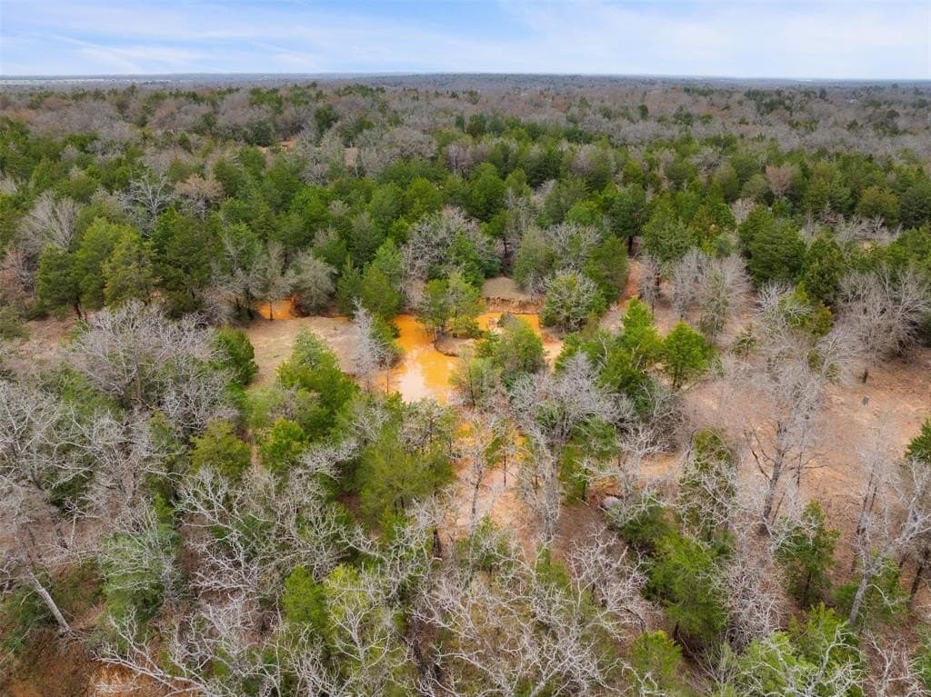 50 acres in Freestone County gallery image 2