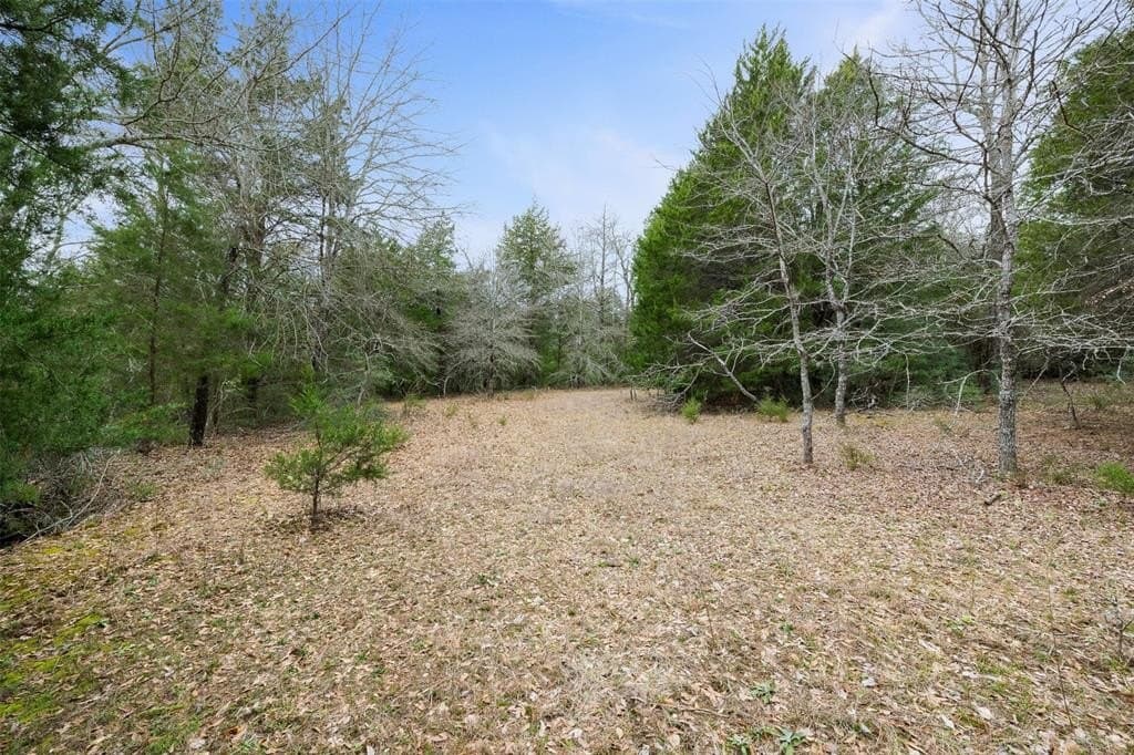 50 acres in Freestone County gallery image 3