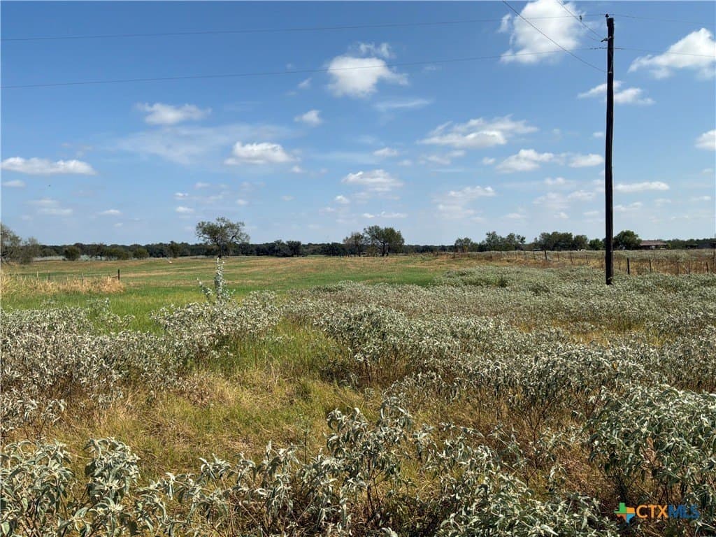 20.67 acres in Gonzales County - photo 19