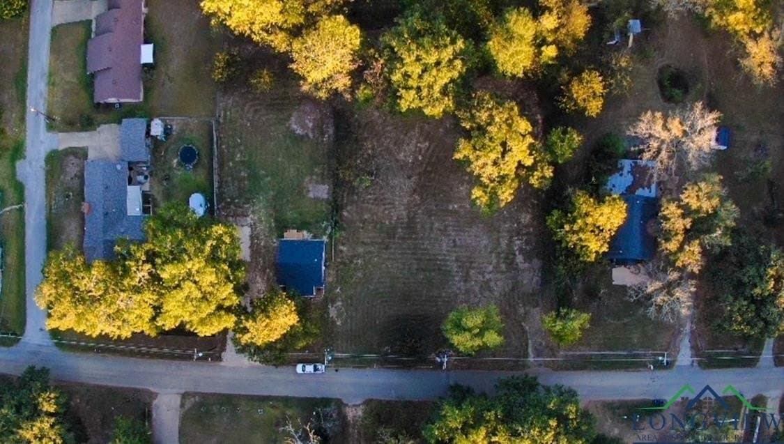 0.39 acres in Upshur County gallery image 4